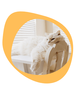 Tarif-Organisation-Mariage-Ile-France-Oise