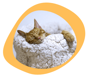 Tarif-Wedding-Planner-Oise-Ile-France